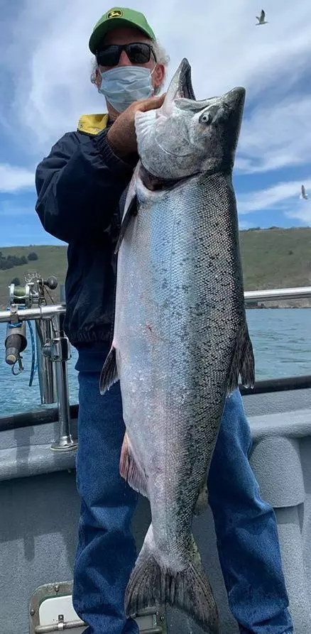You are currently viewing <strong>King Salmon up to 30 Pounds</strong>