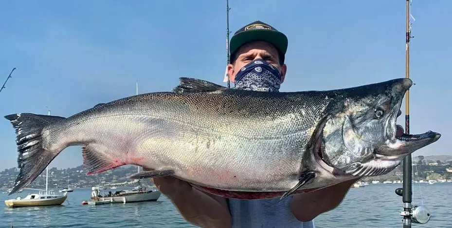 Read more about the article <strong>Big Fish Weighed in At 37 Pounds!</strong>