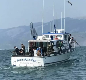 Read more about the article <a href="https://www.bluerunnercharters.com/detailed_report.php?report_id=187972"><strong>July Salmon Dates Available</strong></a>
