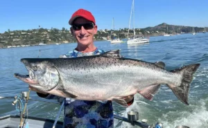 Read more about the article Muir Beach King Salmon