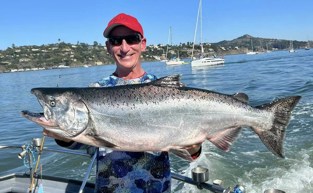 You are currently viewing Muir Beach King Salmon